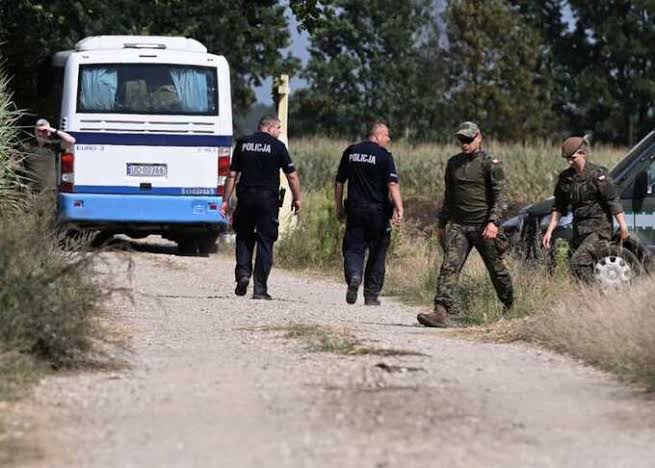 Польша ищет НЛО: полиция и армия прочесали район Люблина