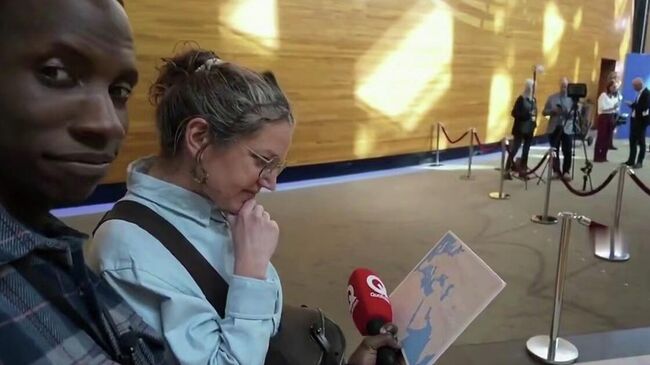 Европейские депутаты не смогли найти Иран на карте