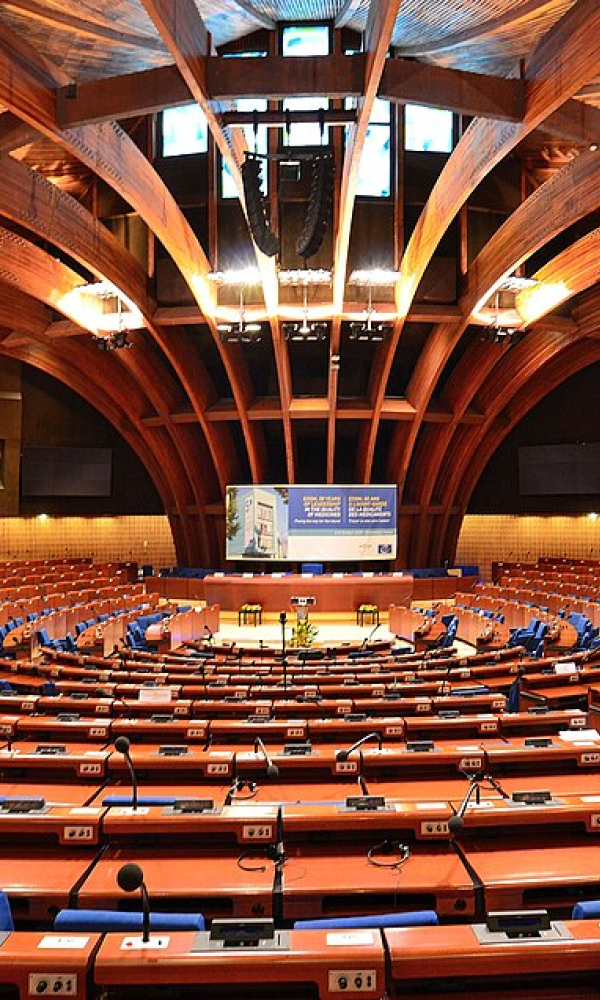 В Совете Европы для антироссийских шавок построили отдельную конуру