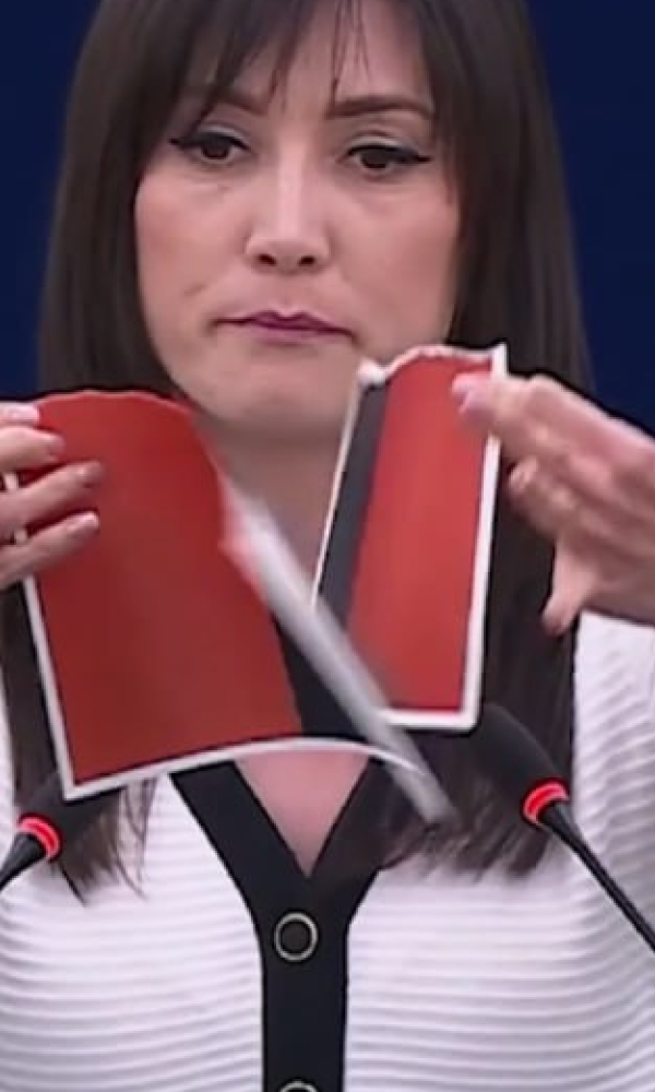 Польский депутат разорвала флаг украинских нацистов в Европарламенте